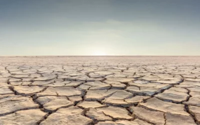 Les catastrophes naturelles médiatisées : Quand les écrans de TV deviennent le sismographe de nos angoisses