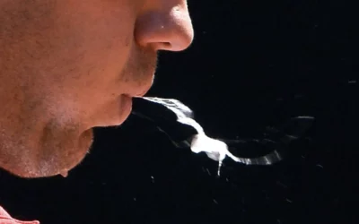 Les effets pervers du “même” ou quand l’imitation étouffe la pensée